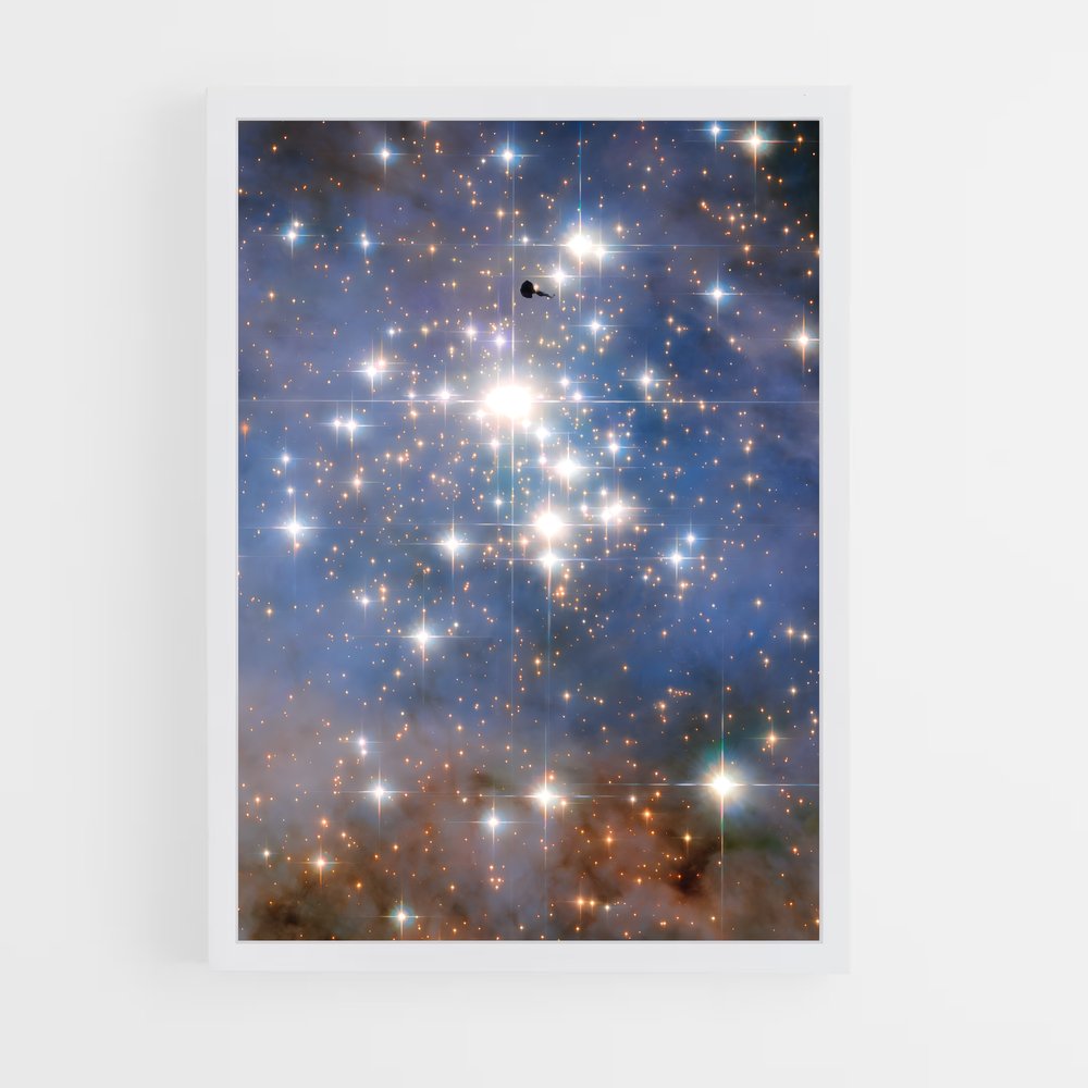 Poster Oiseau des Étoiles (vue 3)